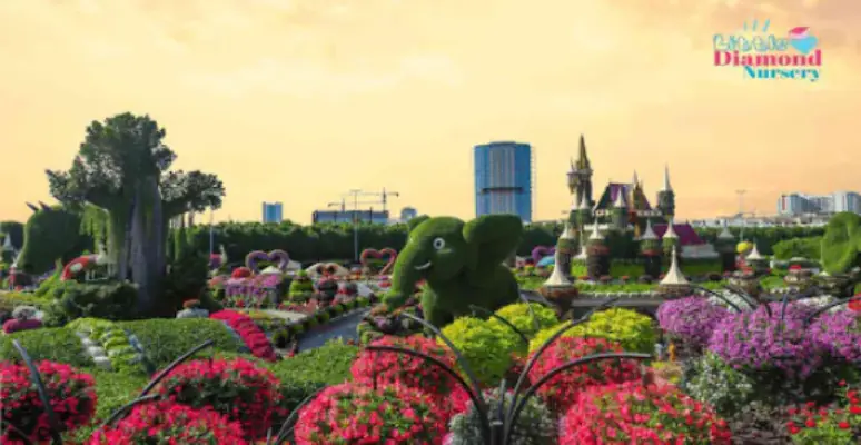 British Nursery in Dubai