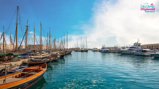 Nursery in Mina Rashid near Port Rashid